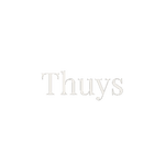 Thuys